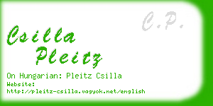 csilla pleitz business card
